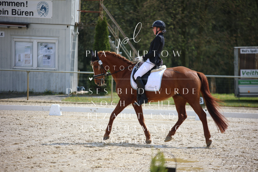 IMGT2440 | pl-fotografie