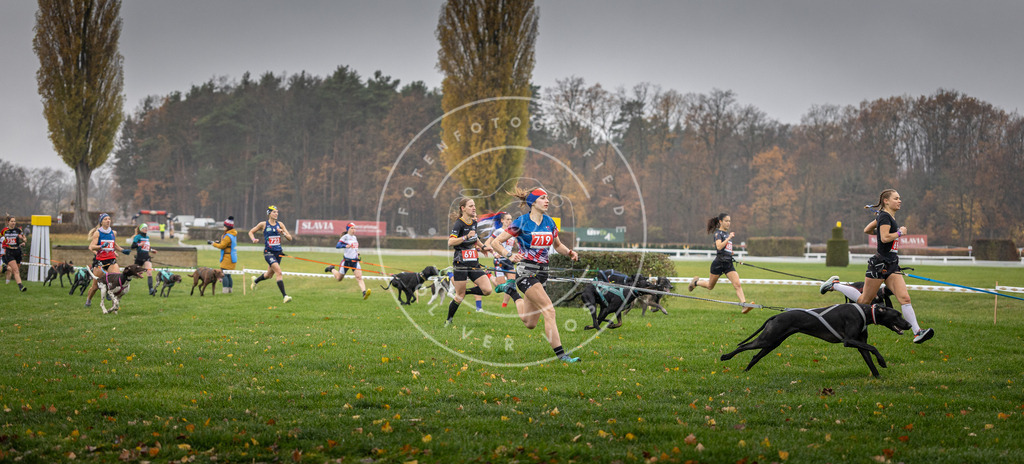 CaniXpix_DV3A8759 | Hundefotografie, Tierfotograf, Pfotenfotografie, Fotoshooting Hund, Hunde Portrait, Hundesport, Hundeportraits, Heideshooting, Hunde, Sportfotograf, Hundefotograf, Turnierhundsport, THS,  - Realisiert mit Pictrs.com