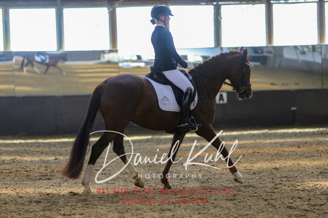 IMG_2848 | Turniersportfotografie; Pferdefotografie; Dressurfotografie