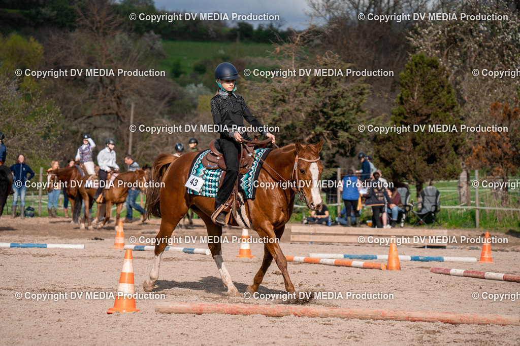 BAL02833 | dv-media-shop - Realisiert mit Pictrs.com