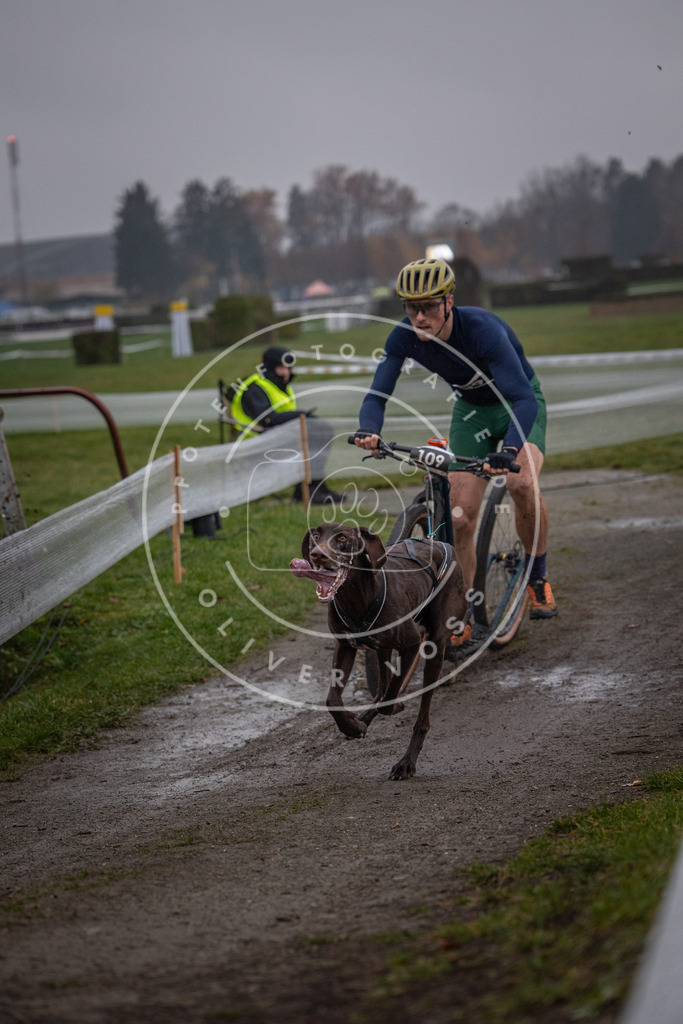 CaniXpix_0L8A0259 | Hundefotografie, Tierfotograf, Pfotenfotografie, Fotoshooting Hund, Hunde Portrait, Hundesport, Hundeportraits, Heideshooting, Hunde, Sportfotograf, Hundefotograf, Turnierhundsport, THS,  - Realisiert mit Pictrs.com