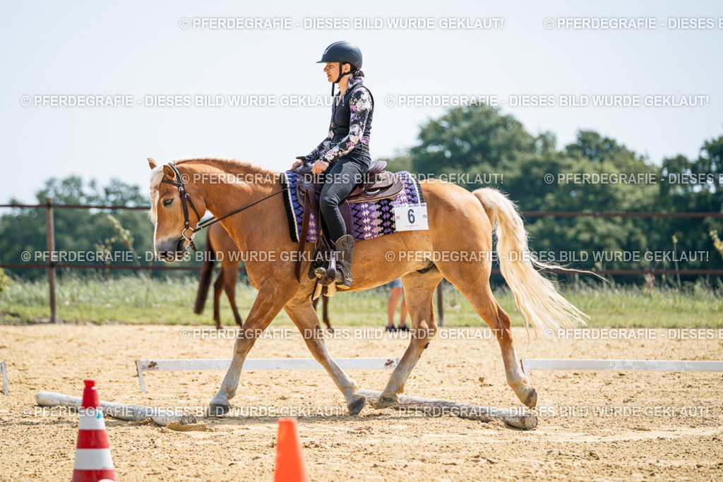 DSC00153 | Pferdegrafie