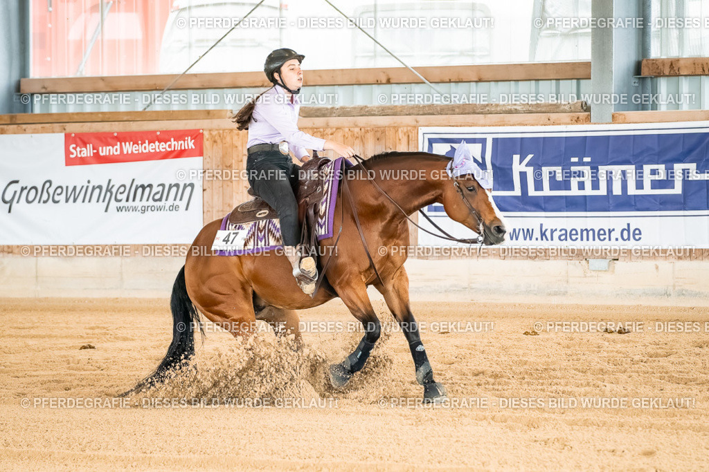 DSC02079 | Pferdegrafie