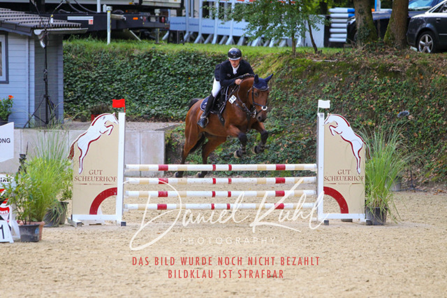 DKP40566 | Turniersportfotografie; Pferdefotografie; Dressurfotografie