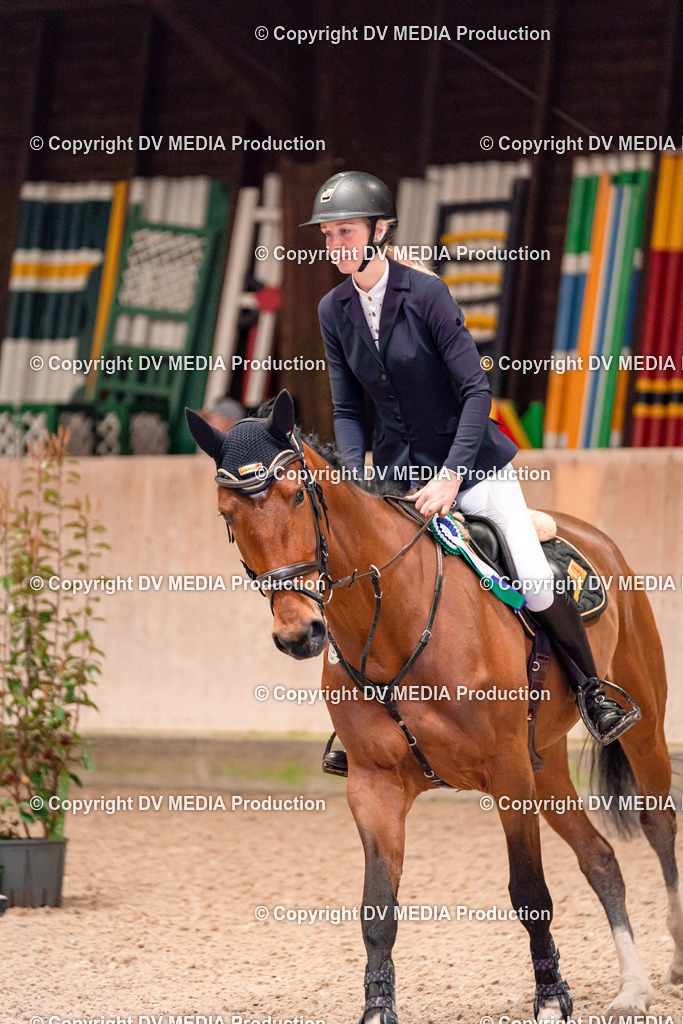 Springen Tag 1-260 | dv-media-shop - Realisiert mit Pictrs.com