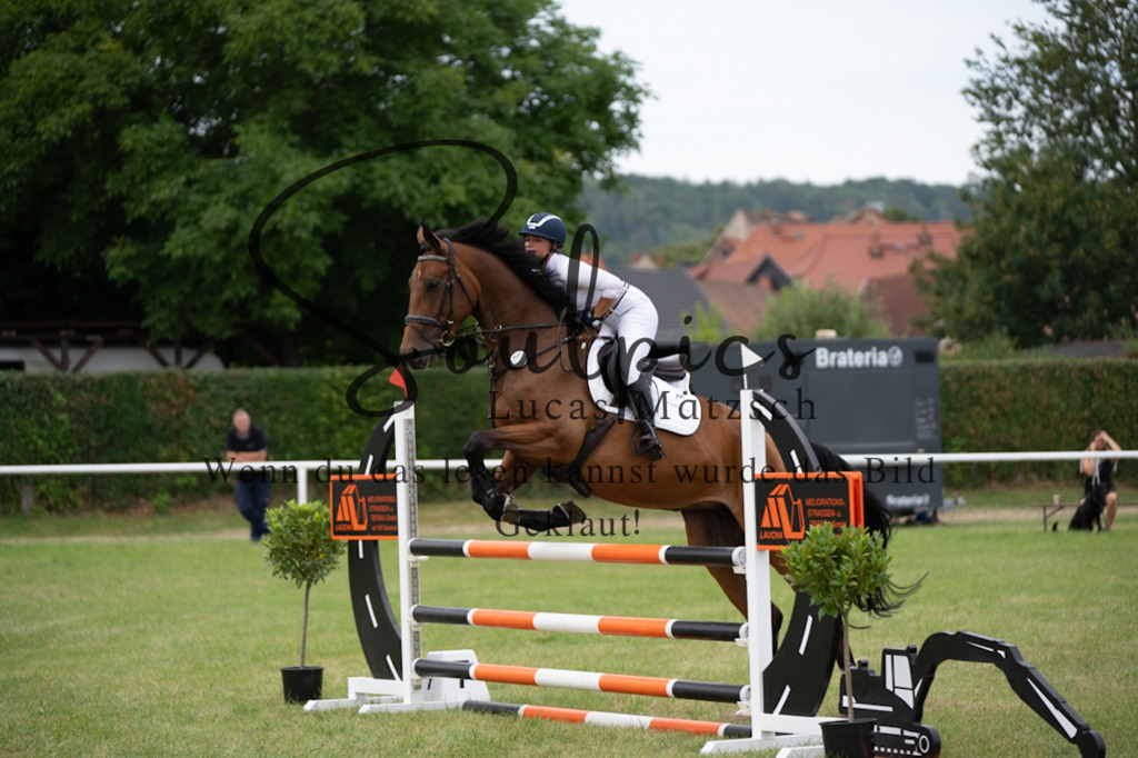 A7V01306 | Pferdefotograf