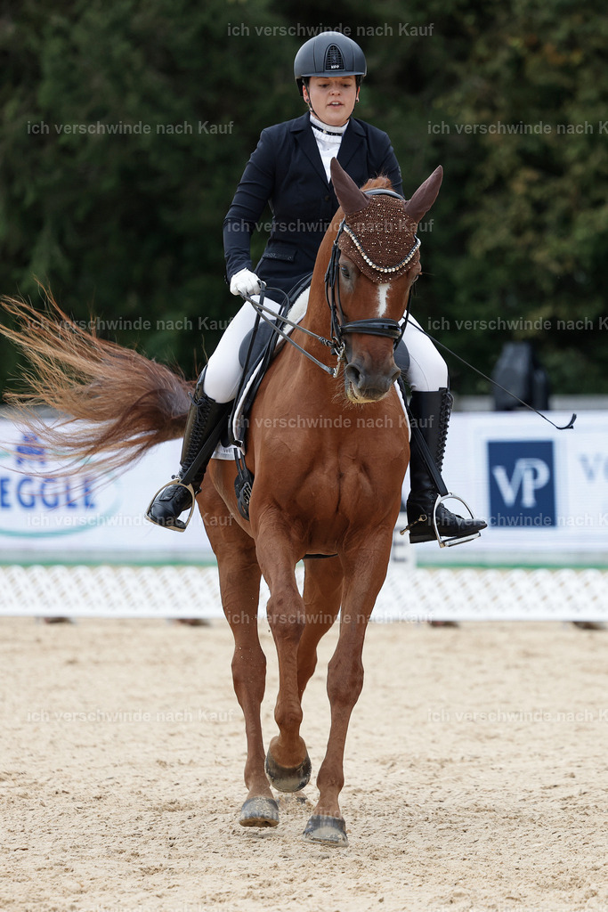 3-111-Dressur M_-StoibPH-2308 | working equitationturnier fotograf videograf stoibphotography marixx film working equitation deutschland reitsport turnierfotografie eventfotografie equestrian events