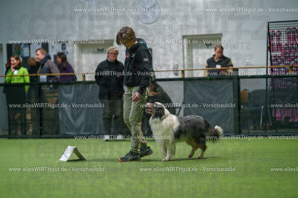 7R504741 | Professionelle Tierfotografie in Mönchengladbach von Daniel Wirth (allesWIRTHgut). Liebevolle & natürliche Bilder von Hunden & Katzen für unvergessliche Erinnerungen.