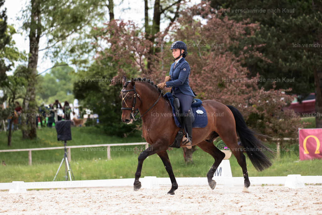 PI26_DR_259_StoibphotographyC2_L7878.jpg | working equitationturnier fotograf videograf stoibphotography marixx film working equitation deutschland reitsport turnierfotografie eventfotografie equestrian events