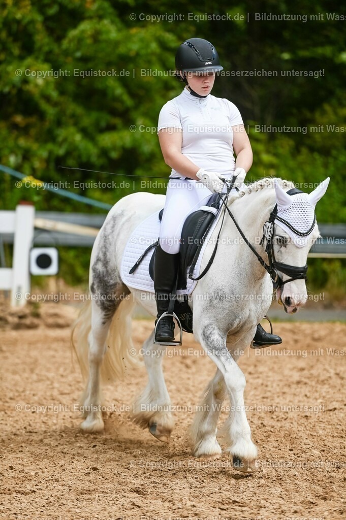 20230715_05_Dressurprüfung Kl.A++_0251 | equistock