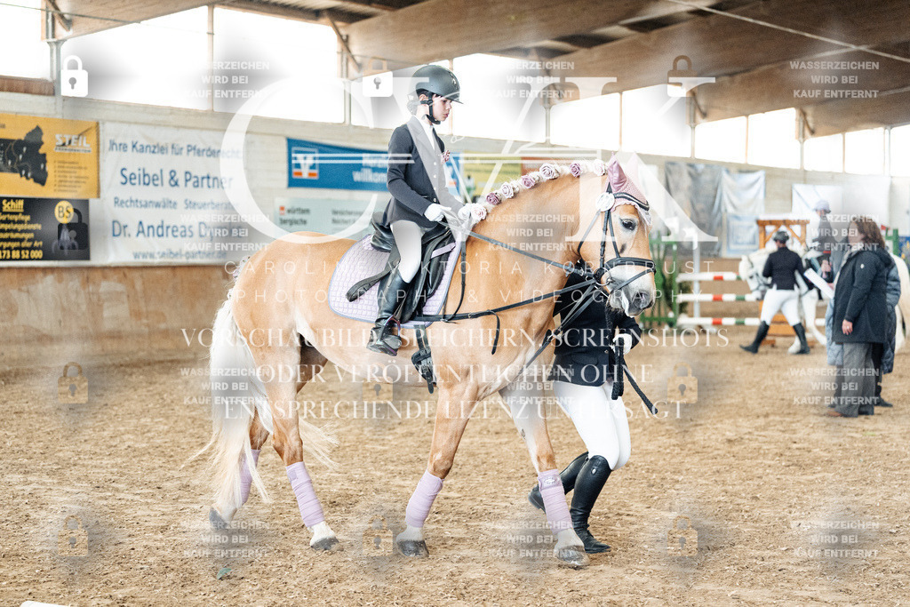 CK905746 | Turnierfotografie Pferdefotografie Trier Rheinland-Pfalz Pferdesport Reitsport Tierfotografie Sportfotografie Pferdevideo Pferdevideografie Equestrianvideography equestrianphotography  - Realisiert mit Pictrs.com