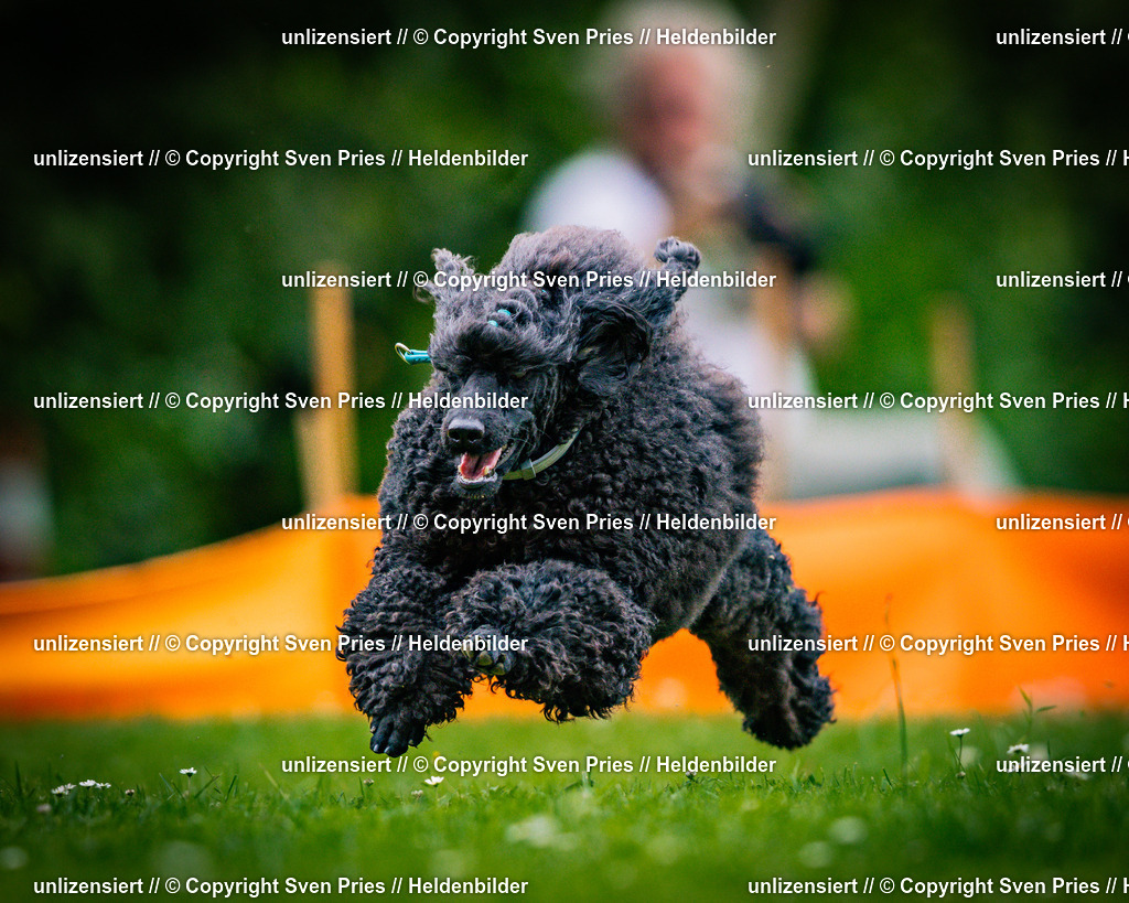 Sven Pries | 2025-05-29 - Pudelrennen KA-Durlach - Realisiert mit Pictrs.com