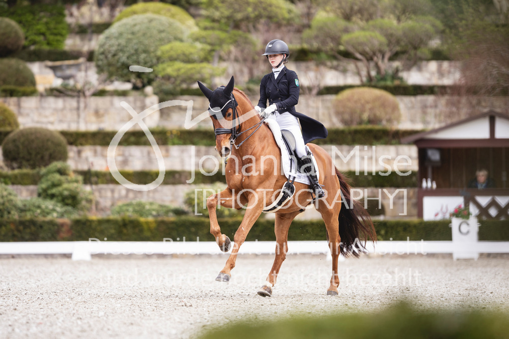 260412_Kronberg_S-Dressur-630 | Deine schönsten Turniermomente als professionelle Fotos! Entdecke hochwertige Pferdesport-Fotografie im Online-Shop. Jetzt Fotos finden & bestellen!