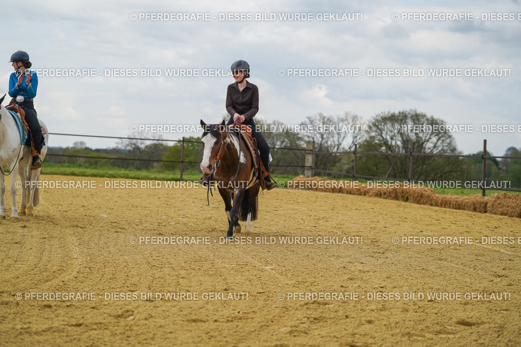 DSC06744 | Pferdegrafie