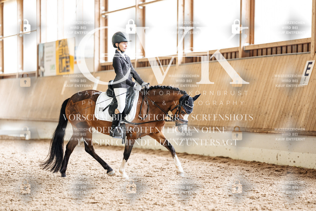 CK901405 | Turnierfotografie Pferdefotografie Trier Rheinland-Pfalz Pferdesport Reitsport Tierfotografie Sportfotografie Pferdevideo Pferdevideografie Equestrianvideography equestrianphotography  - Realisiert mit Pictrs.com