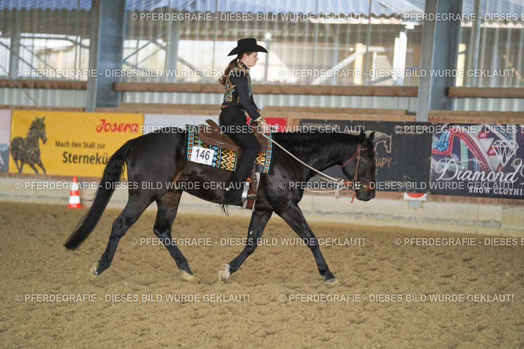 DSC09668 | Pferdegrafie