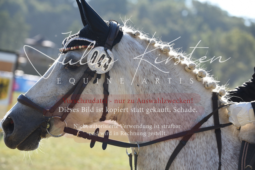 DSC_5666 | Pferde- und Turnierfotografie in Westsachsen. Pferdeportraits, Auftragszeichnungen und intuitive Kunst.