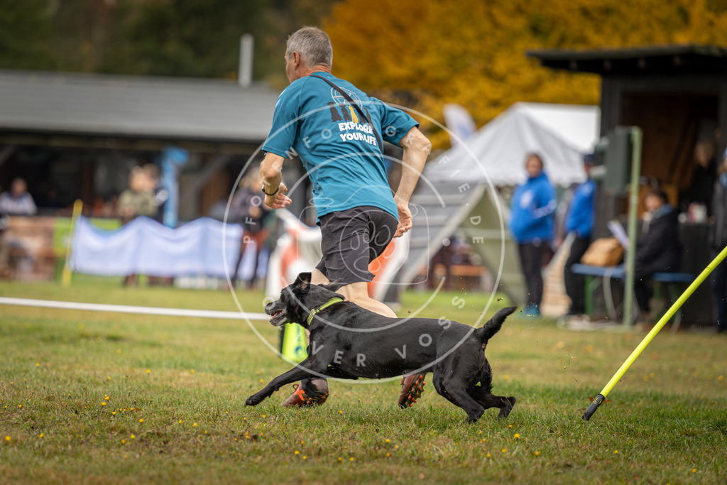 Pfotenfotografie_DV3A1907 | Hundefotografie, Tierfotograf, Pfotenfotografie, Fotoshooting Hund, Hunde Portrait, Hundesport, Hundeportraits, Heideshooting, Hunde, Sportfotograf, Hundefotograf, Turnierhundsport, THS,  - Realisiert mit Pictrs.com