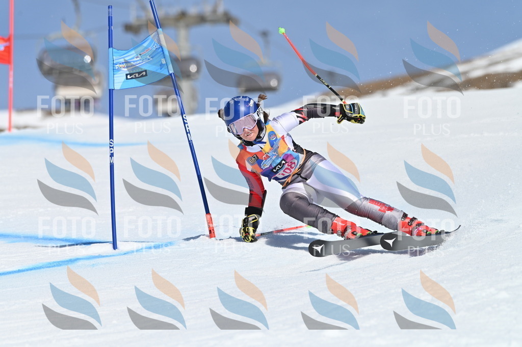 BGV_9602 | holidayphoto