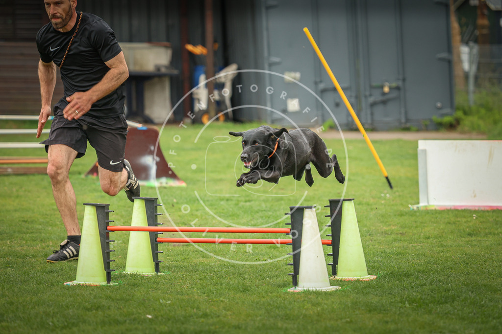 Pfotenfotografie_0L8A0359 | Hundefotografie, Tierfotograf, Pfotenfotografie, Fotoshooting Hund, Hunde Portrait, Hundesport, Hundeportraits, Heideshooting, Hunde, Sportfotograf, Hundefotograf, Turnierhundsport, THS,  - Realisiert mit Pictrs.com