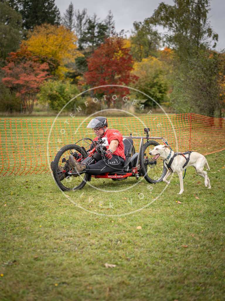 Pfotenfotografie_DV3A3514 | Hundefotografie, Tierfotograf, Pfotenfotografie, Fotoshooting Hund, Hunde Portrait, Hundesport, Hundeportraits, Heideshooting, Hunde, Sportfotograf, Hundefotograf, Turnierhundsport, THS,  - Realisiert mit Pictrs.com