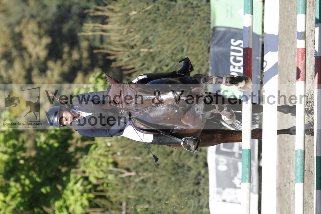 _MG_5008 | equestrian-live-com