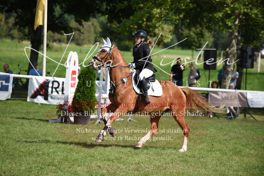DSC_9119 | Pferde- und Turnierfotografie in Westsachsen. Pferdeportraits, Auftragszeichnungen und intuitive Kunst.