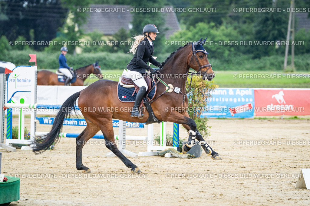 DSC03355 | Pferdegrafie