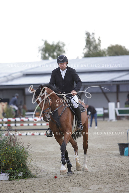 1J2A8343Jan Philipp Schultz_ Gustav US_ Kn495_ Havekost | Foto- und Videografie für alles rund ums Pferd. Hochwertige Bilder und Videos vom Spring- und Dressurreiten, Voltigieren & mehr. Jetzt aktuelle Veranstaltungen und Preise im Shop ansehen. - Realisiert mit Pictrs.com