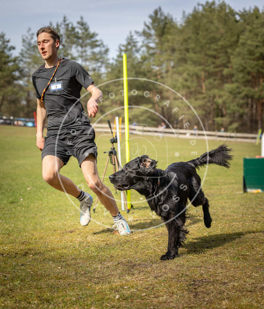 Pfotenfotografie_DV3A0446 | Hundefotografie, Tierfotograf, Pfotenfotografie, Fotoshooting Hund, Hunde Portrait, Hundesport, Hundeportraits, Heideshooting, Hunde, Sportfotograf, Hundefotograf, Turnierhundsport, THS,  - Realisiert mit Pictrs.com