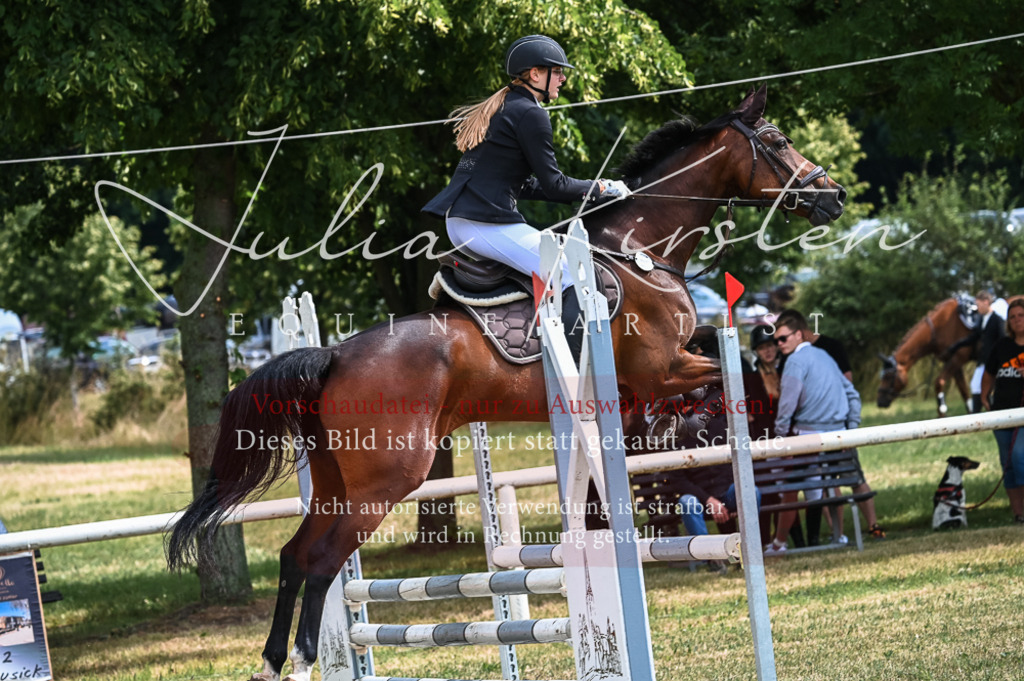 DSC_8493 | Pferde- und Turnierfotografie in Westsachsen. Pferdeportraits, Auftragszeichnungen und intuitive Kunst.