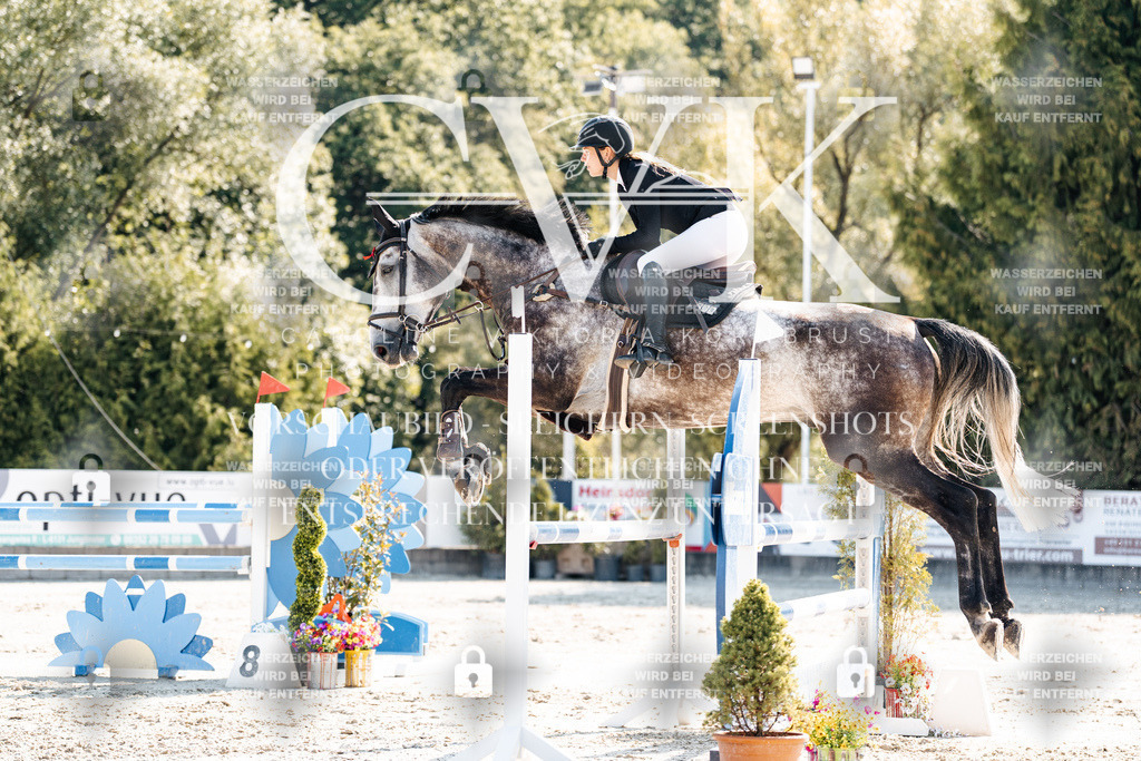 CK902279 | Turnierfotografie Pferdefotografie Trier Rheinland-Pfalz Pferdesport Reitsport Tierfotografie Sportfotografie Pferdevideo Pferdevideografie Equestrianvideography equestrianphotography  - Realisiert mit Pictrs.com