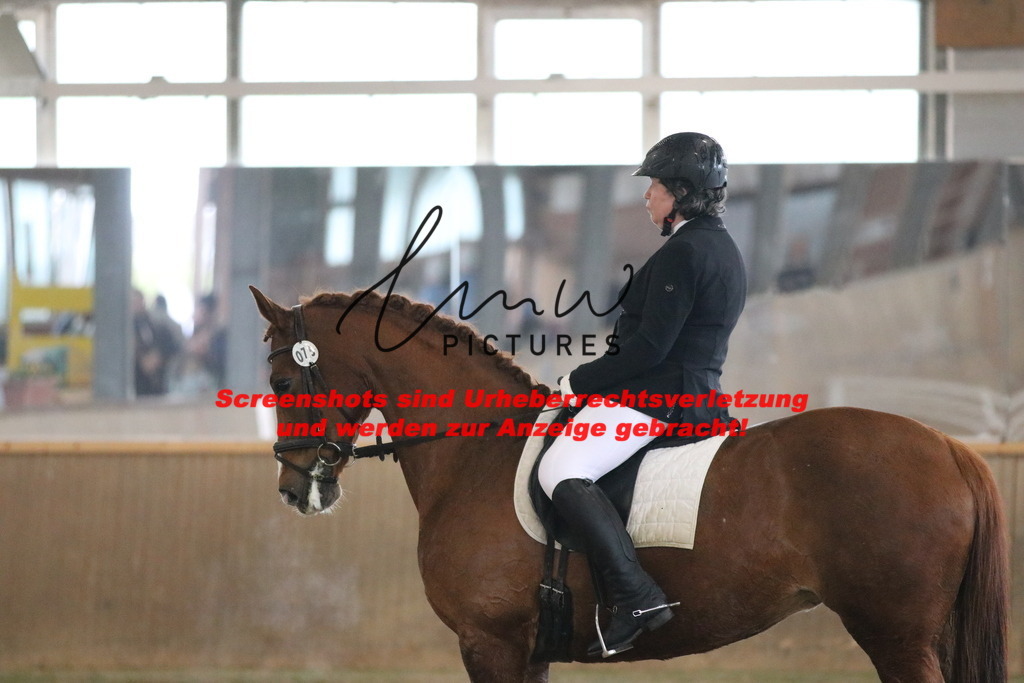 IMG_8028 | lmwpictures - Realisiert mit Pictrs.com