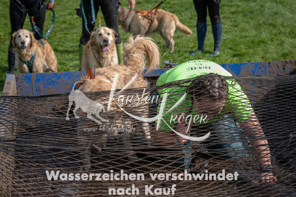 1401_ZZ90469 | kk-dogfotos