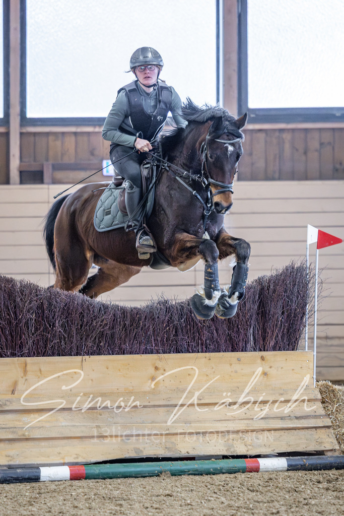 20260221-_3LI0162 | Tierfotografie Pferde, Hunde, Katzen, Haustiere.
Turnierfotografie Reitturniere, Reiten, Springreiten, Dressur in Hanau, dem Main-Kinzig-Kreis und dem Rhein-Main- Gebiet um Frankfurt
