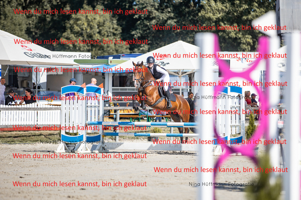 BK1A7102 | Turnierbilder Turnierfotos Nina Hüffmann Turnierfotografie Pferdefotografie Tierzeichnung Haustierzeichnung Pferdezeichnung Hundezeichnung Videograf  - Realisiert mit Pictrs.com
