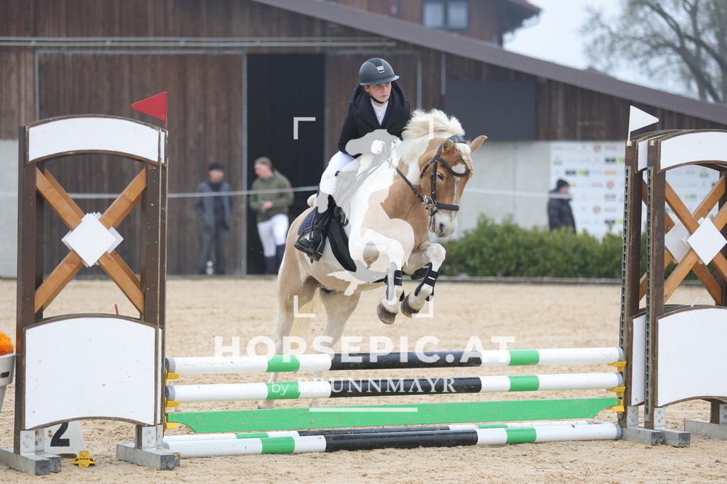0P6A8342 | Willkommen bei Brunnmayr - Design & Fotografie – Ihrem Spezialisten für Reitturniere und Pferdeveranstaltungen in Oberösterreich, Salzburg und Bayern! Seit über 17 Jahren sind wir leidenschaftlich dabei.
