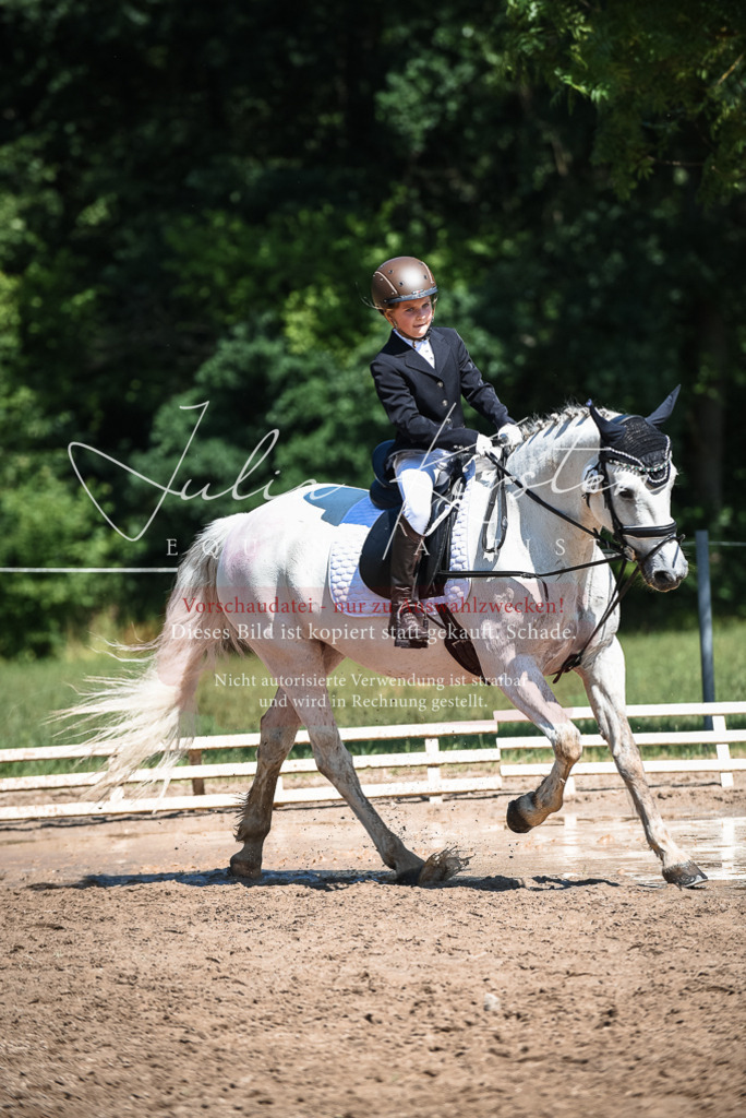 DSC_3606 | Pferde- und Turnierfotografie in Westsachsen. Pferdeportraits, Auftragszeichnungen und intuitive Kunst.
