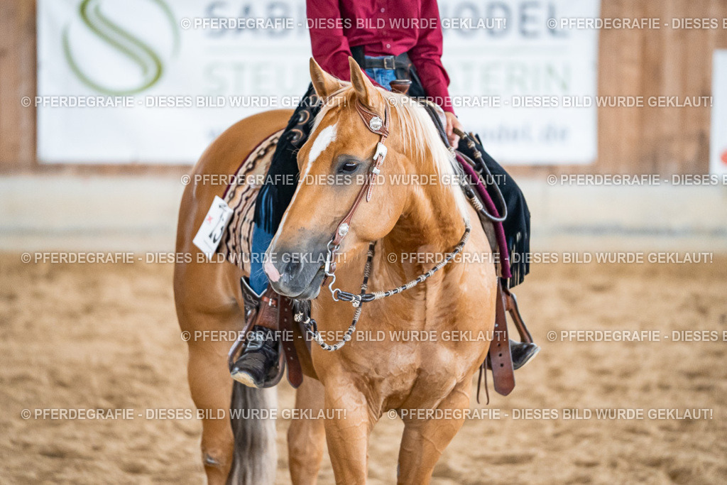 DSC01402 | Pferdegrafie