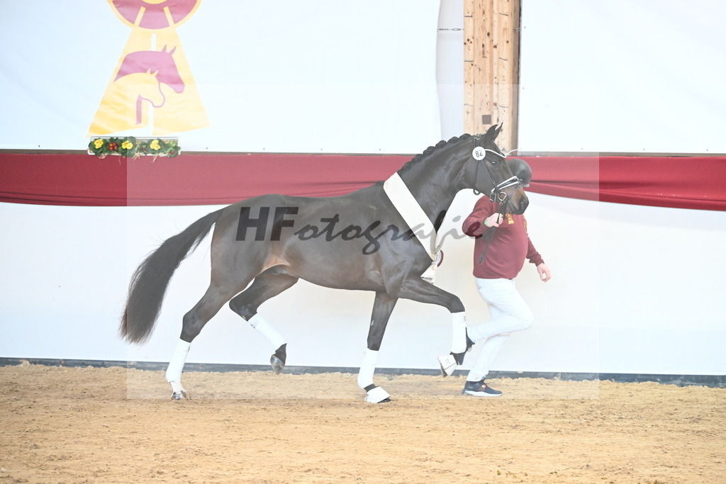 Kat.-Nr. 82 v. Von Und Zu_Berger_2243007 | hf-fotografie - Realisiert mit Pictrs.com