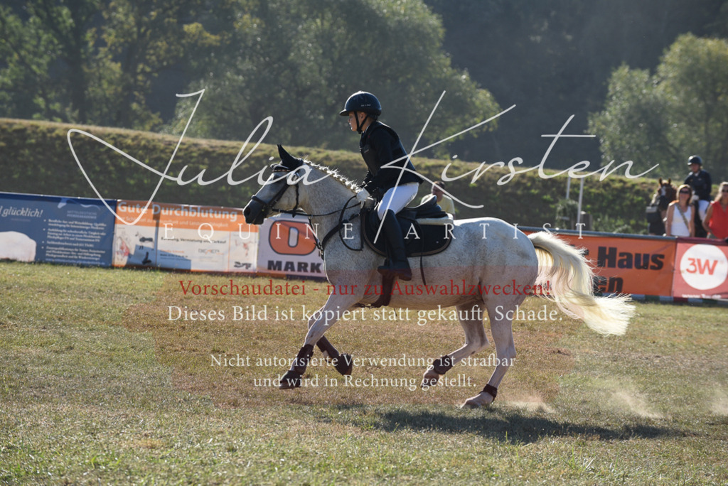 DSC_5669 | Pferde- und Turnierfotografie in Westsachsen. Pferdeportraits, Auftragszeichnungen und intuitive Kunst.