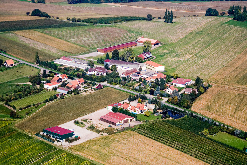 Aerial view: Geisberg near Riedseltz in Riedseltz in the state Bas-Rhin, France.Photo: IMG_13604.jpg taken on 09/28/2008 by Werner Riehm/FLY-FOTO.comResolution of the original: 3456 x 2304 px