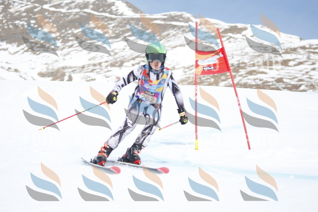 _W1G2969 | holidayphoto