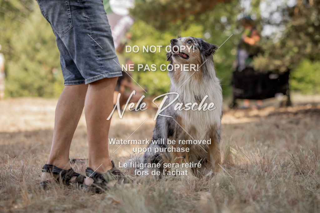 nelerasche_soDD2_106 | nelerasche