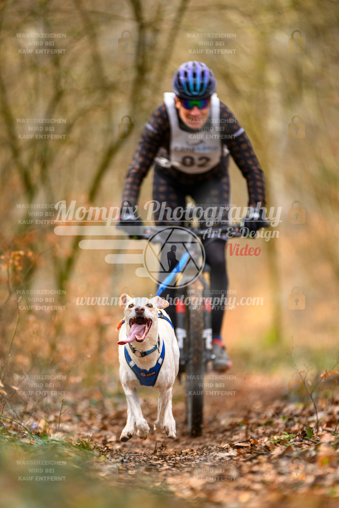 MompixPhotography_ReiatRennen2024_SO_Bike1H-175 | PayLife