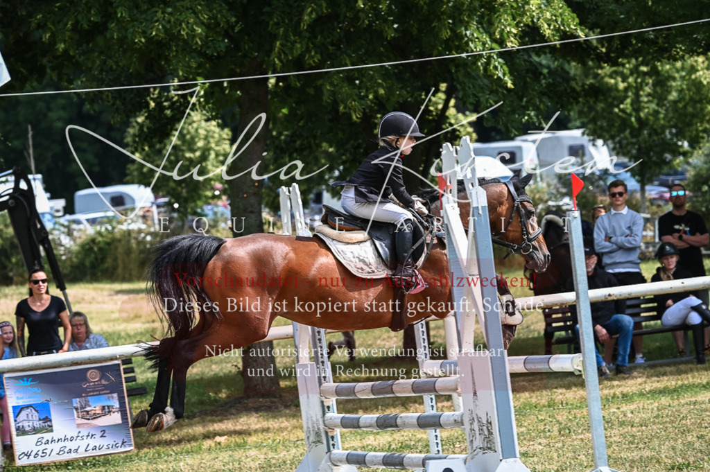 DSC_8518 | Pferde- und Turnierfotografie in Westsachsen. Pferdeportraits, Auftragszeichnungen und intuitive Kunst.