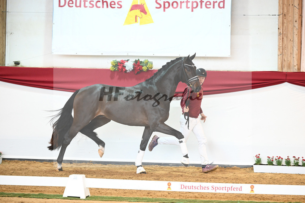 Kat-Nr. 51 Va Bene x Dante Weltino_Bergmann_43230694 | hf-fotografie - Realisiert mit Pictrs.com