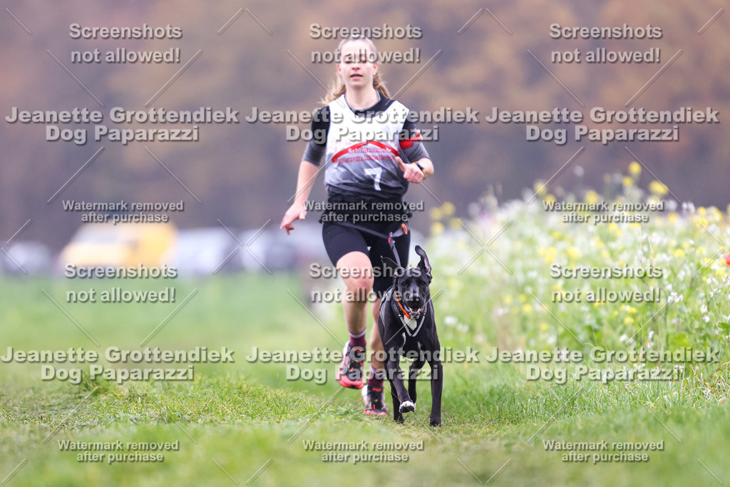 Dog Paparazzi - Visbeck 25 -813 | Dog Paparazzi Jeanette Grottendiek Fotografie & Videografie - Realisiert mit Pictrs.com