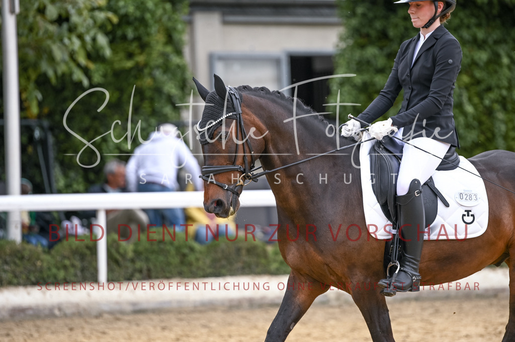 Schugtsche-Aluta25-42.EDressur -282 | Schugtsche Fotografie - Realisiert mit Pictrs.com