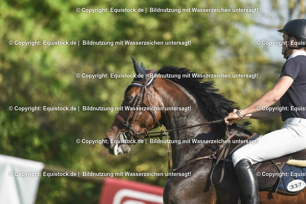 20230909_25_Punktespringen_S_0051 | Foto: Thomas Hartig